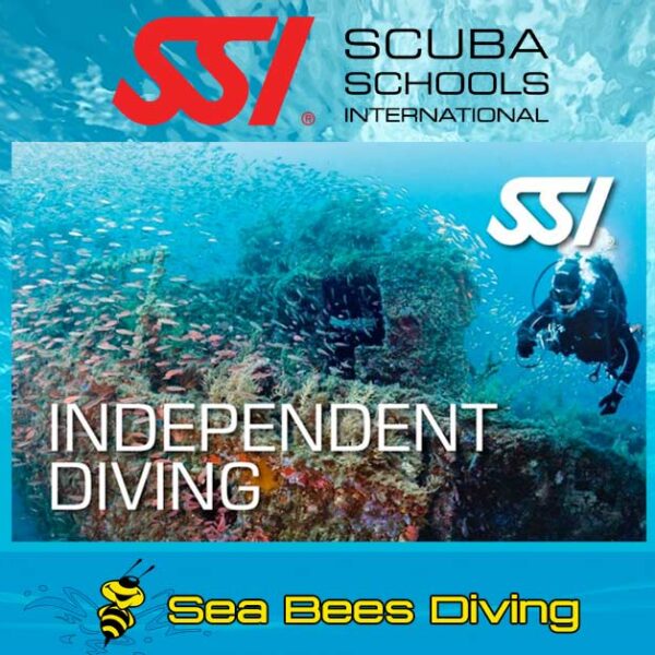 Independent Diving Specialty Nai Yang Sea Bees Diving Thailand