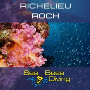 Richelieu Rock daytrip