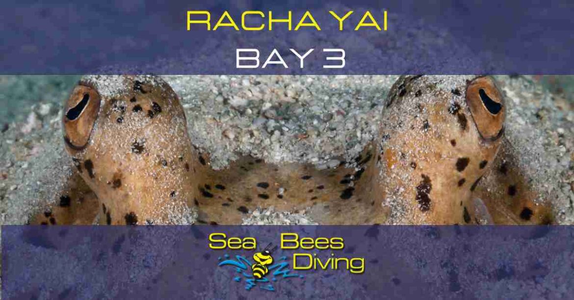 Racha Yai Bay 3