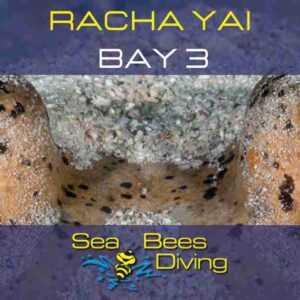 Racha Yai Bay 3