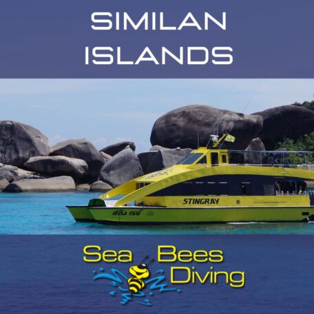Similan Island daytrip