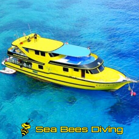 excalibur-dive-boat-sea-bees-diving