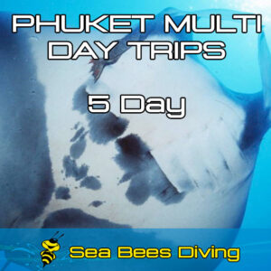 5 Day Dive Package Phuket