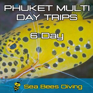 6 Day Dive Package Phuket