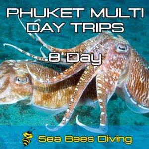 8 Day Dive Package Phuket