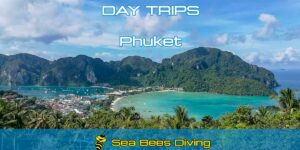 Phuket Scuba Day Trips
