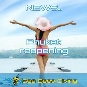 lady on pier in phuket celebrating the reopening of diving with sea bees