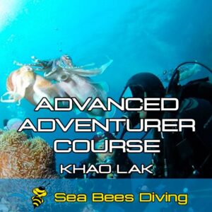 Advanced Adventurer Course – Khao Lak