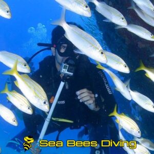 Advanced Open Water Diver Course – Nai Yang
