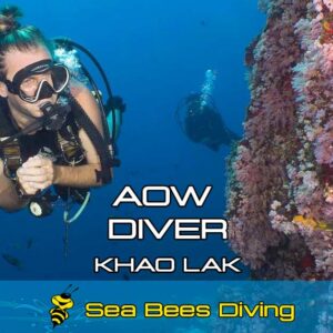Advanced Open Water Diver Course – Khao Lak