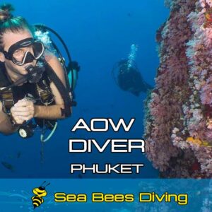 Advanced Open Water Diver Course – Phuket