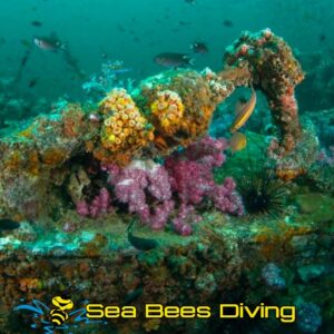 Khao Lak Wreck Diving Daytrip & Khao Na Yak Reef