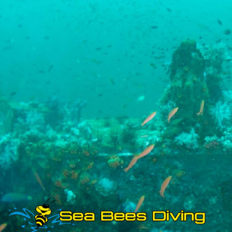 sea-bees-khao-lak-boonsung-wreck-deck