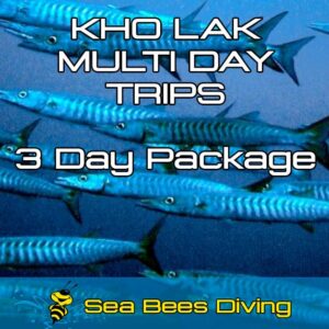 3 Day Dive Package Khao Lak
