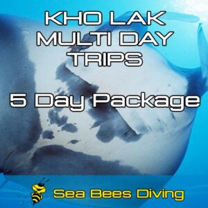 5 Day Dive Package Khao Lak