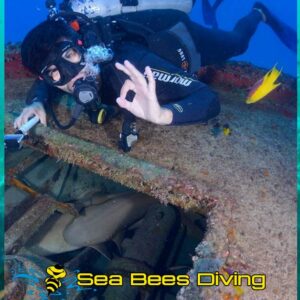 Wreck Diving Specialty – Nai Yang