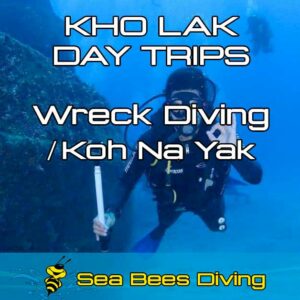Khao Lak Wreck Diving Daytrip & Khao Na Yak Reef