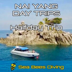 Nai Yang Halfday Trip