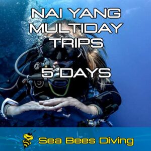 Phuket Mix – 5 days, 10 dives