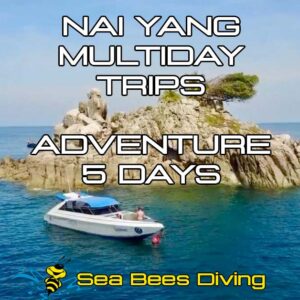 Nai Yang Adventure – 5 days, 10 dives