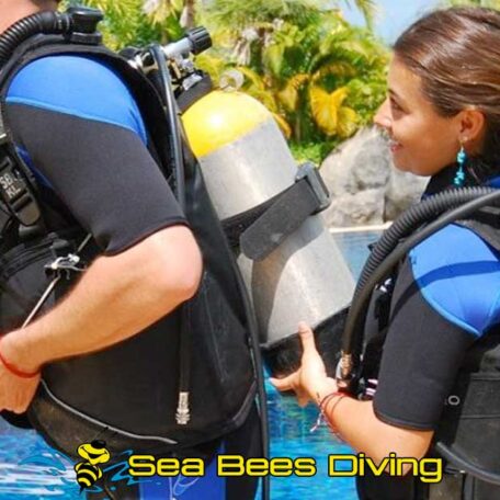 sea-bees-nitrox-speciality-course-enriched-air-equipment