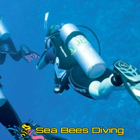 sea-bees-nitrox-speciality-course-nitrox-diving