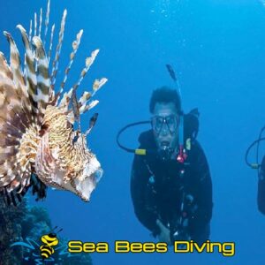 Open Water Diver Course – Phuket