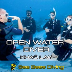 Open Water Diver Course – Khao Lak