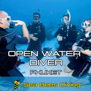Open Water Diver Course – Phuket