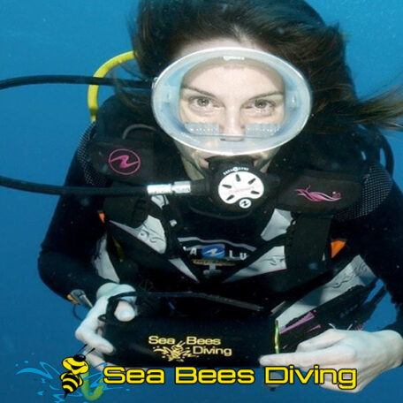 sea-bees-phuket-diving-open-water-course