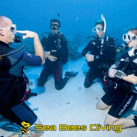 sea-bees-phuket-diving-open-water-tuition