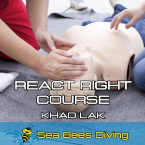 React Right Course – Khao Lak