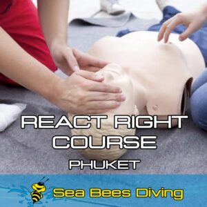 React Right Course – Phuket