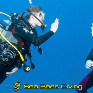 Rescue Diver Course – Nai Yang