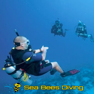 Rescue Diver Course – Phuket