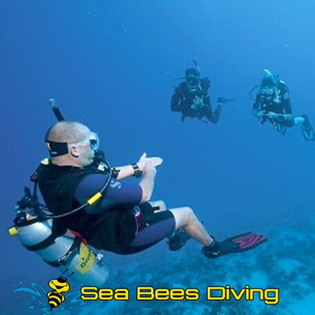 sea-bees-rescue-diver-course-phuket
