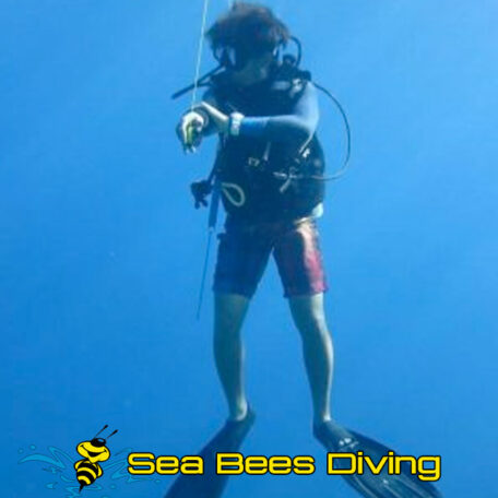sea-bees-scuba-diving-khao-lak-safety-stop