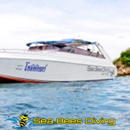 sea-bees-scuba-diving-nai-yang-chok-tip-speedboat