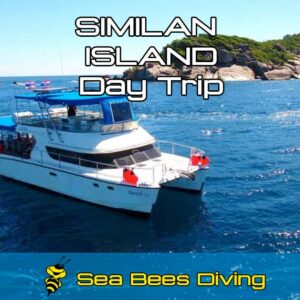 Similan Island Daytrip