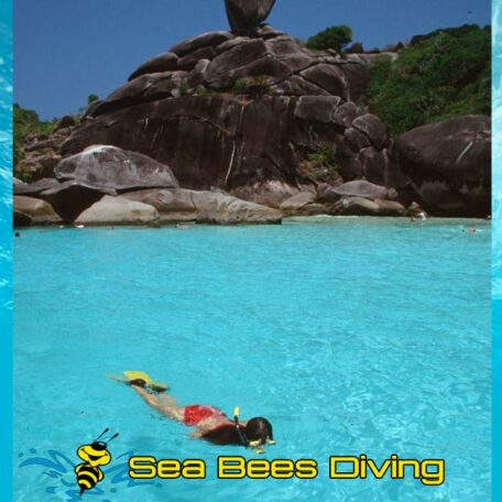 sea-bees-similan-island-snorkelling