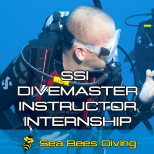 SSI Divemaster / Instructor Internship Program