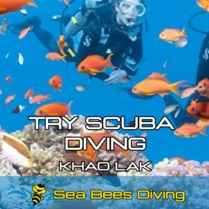 Try Scuba Diving – Khao-Lak
