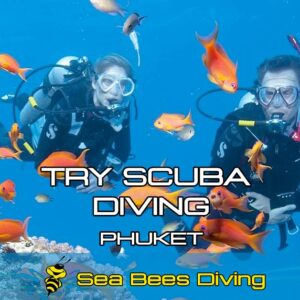 Try Scuba Diving – Phuket