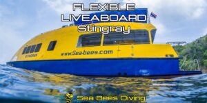 Flexible Liveaboards