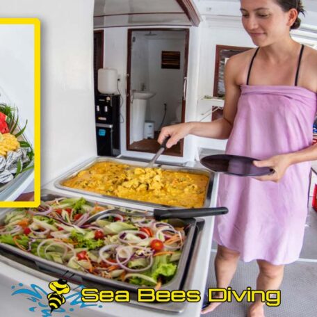 seabees-STINGRAY-guests-buffet-meal-service