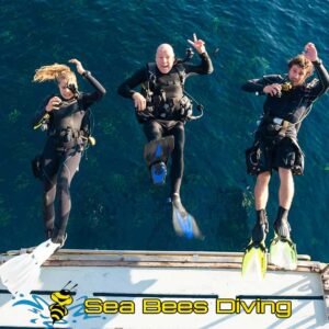 MV Marco Polo Liveaboard – 5 days / 5 Nights