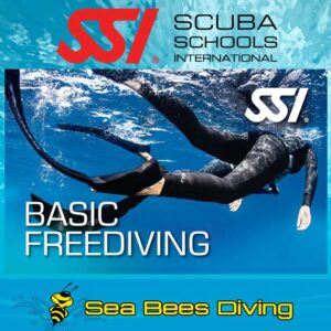 Basic Freediving Specialty- Nai Yang