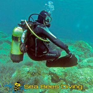 Perfect Buoyancy Specialty – Nai Yang