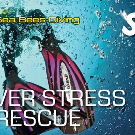 seabees-nai-yang-ssi-diver-stress-rescue-course