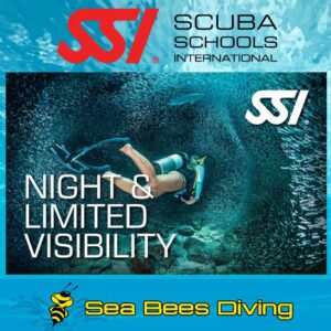 Night Diving Specialty – Nai Yang